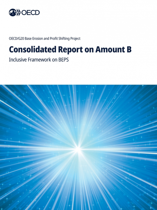 Consolidated Report on Amount B