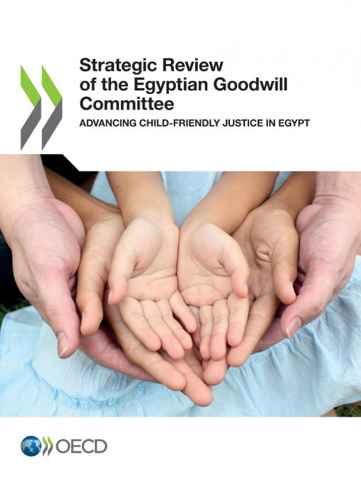 Strategic Review of the Egyptian Goodwill Committee