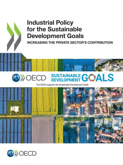 Industrial Policy for the Sustainable Development Goals