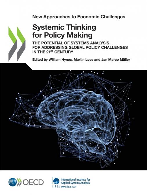 Systemic Thinking for Policy Making