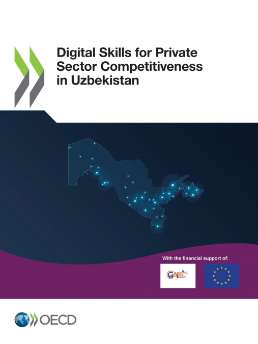 Digital Skills for Private Sector Competitiveness in Uzbekistan