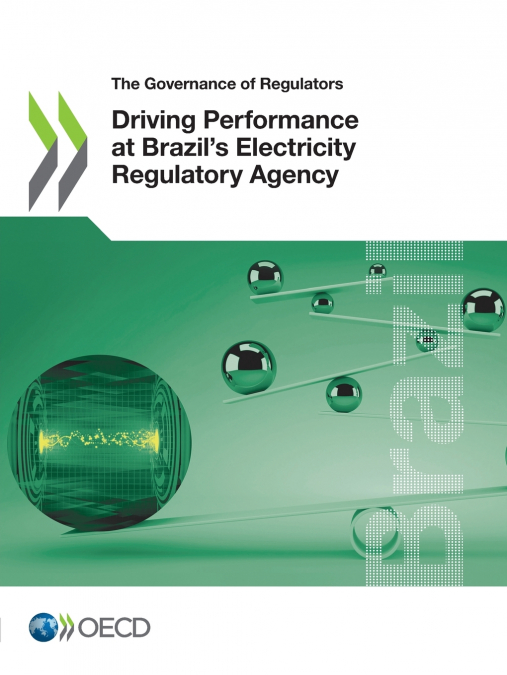 Driving Performance at Brazil’s Electricity Regulatory Agency