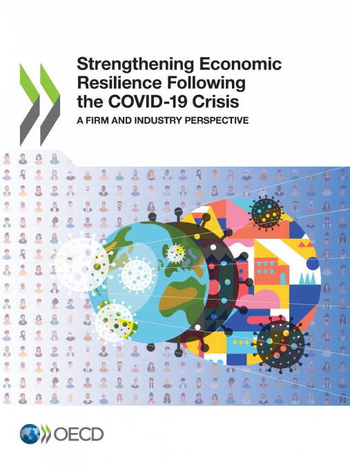 Strengthening Economic Resilience Following the COVID-19 Crisis