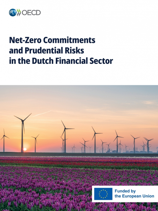 Net-Zero Commitments and Prudential Risks in the Dutch Financial Sector