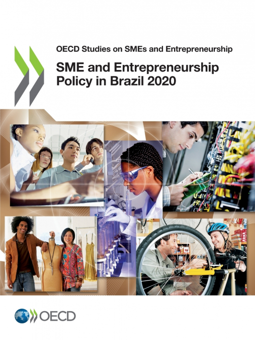 SME and Entrepreneurship Policy in Brazil 2020