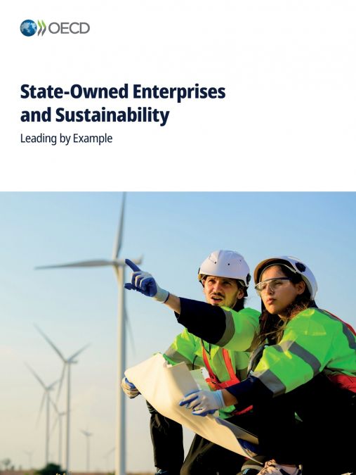 State-Owned Enterprises and Sustainability