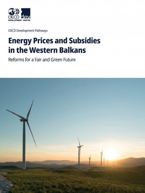 Energy Prices and Subsidies in the Western Balkans