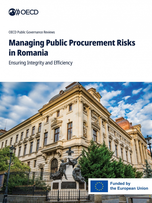 Managing Public Procurement Risks in Romania