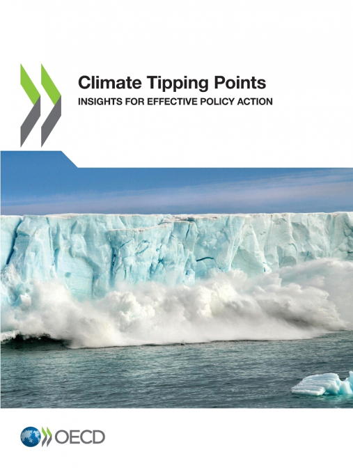 Climate Tipping Points