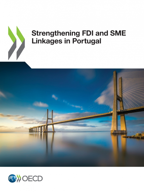 Strengthening FDI and SME Linkages in Portugal