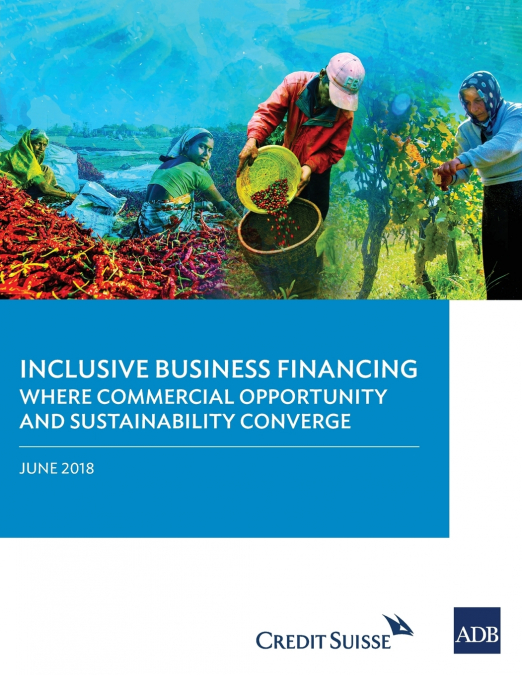 Inclusive Business Financing