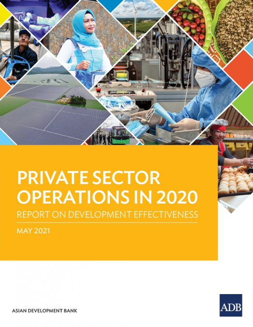Private Sector Operations in 2020