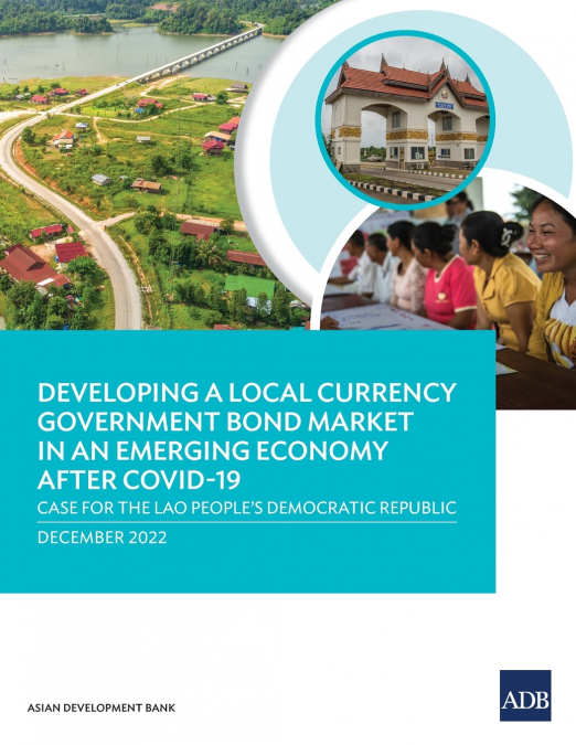Developing a Local Currency Government Bond Market in an Emerging Economy after COVID-19
