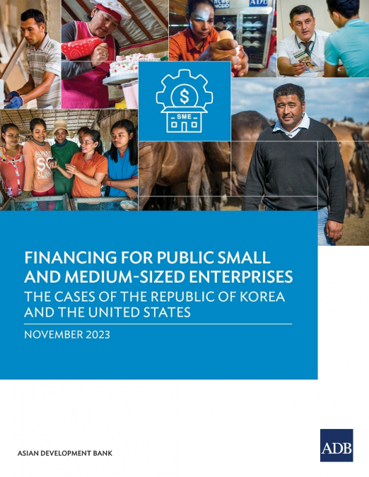 Public Financing for Small and Medium-Sized Enterprises