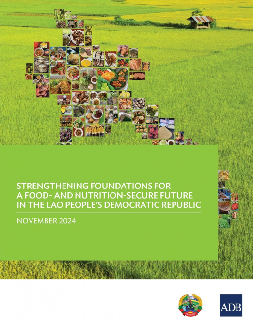 Strengthening Foundations for a Food-and Nutrition-Secure Future in the Lao People’s Democratic Republic