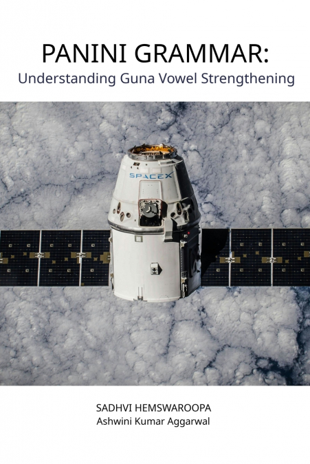 Panini Grammar