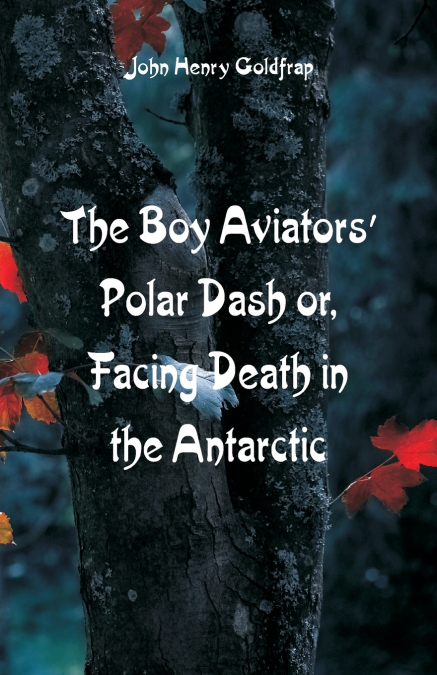 The Boy Aviators’ Polar Dash