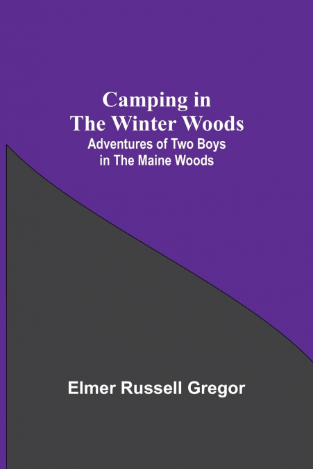 Camping In The Winter Woods