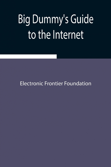 Big Dummy’S Guide To The Internet