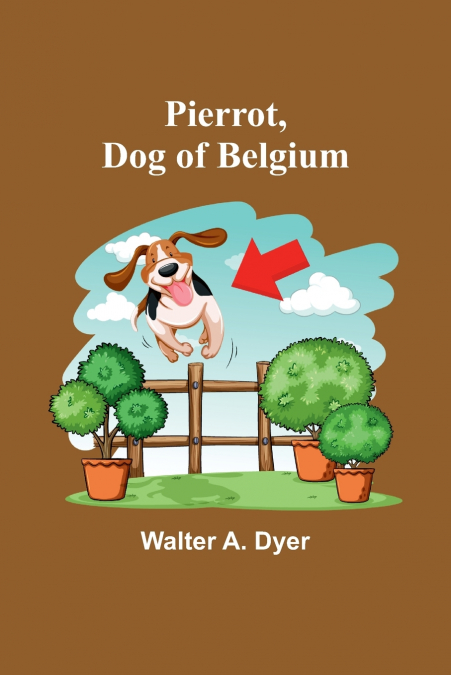 Pierrot, Dog of Belgium