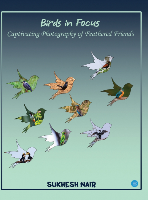 Birds in Focus Captivating Photography of Feathered Friends