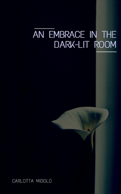 An embrace in the dark-lit room
