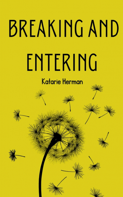 Breaking and Entering