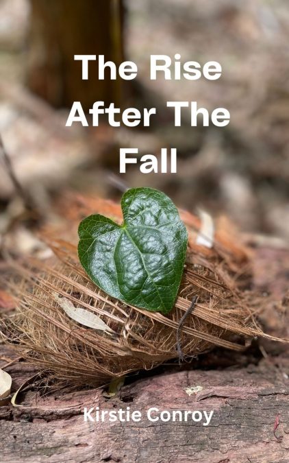 The Rise After The Fall