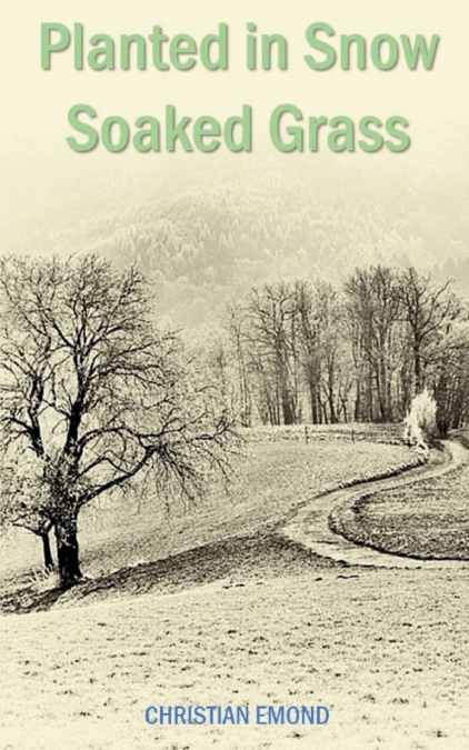 PLANTED IN SNOW SOAKED GRASS
