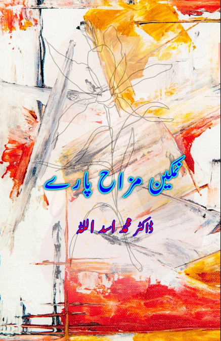 Namkeen Mizah Paarey