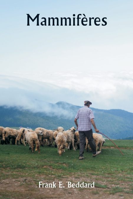 Mammifères