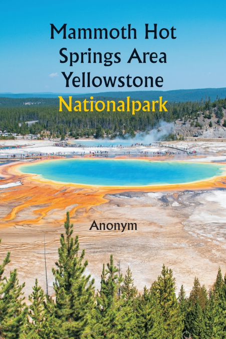 Mammoth Hot Springs Area  Yellowstone Nationalpark