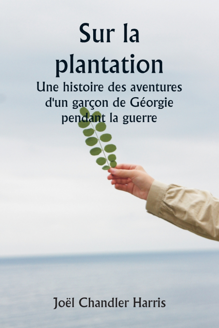 Sur la plantation  Une histoire des aventures d’un garçon de Géorgie pendant la guerre