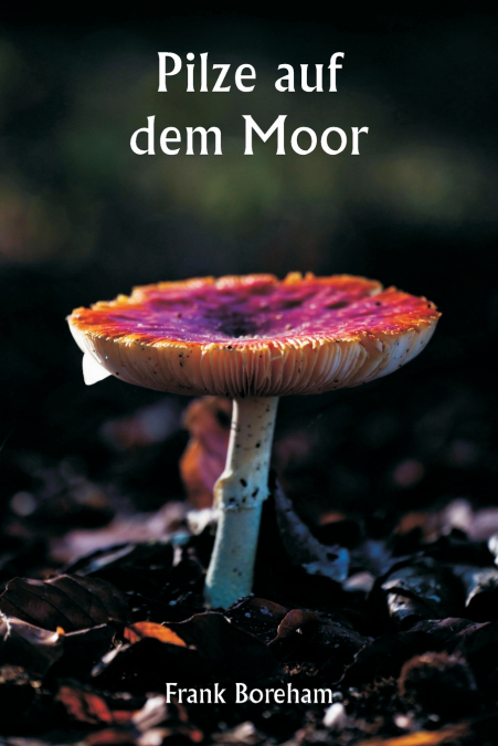 Pilze auf dem Moor