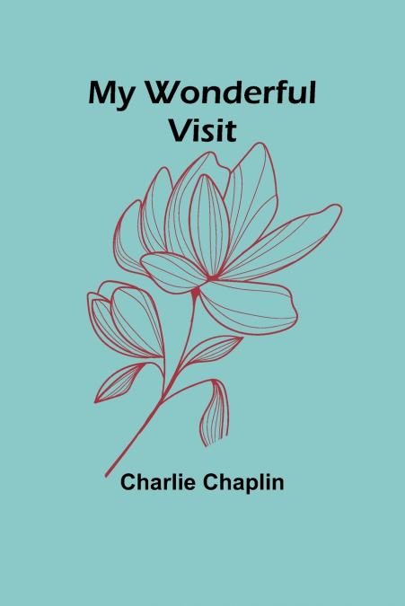 My Wonderful Visit