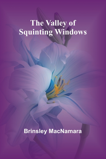 The Valley of Squinting Windows