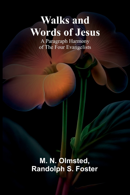 Walks and Words of Jesus