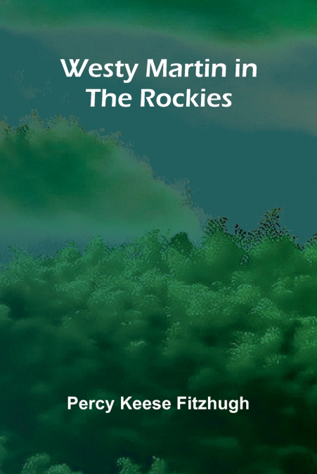 Westy Martin In The Rockies