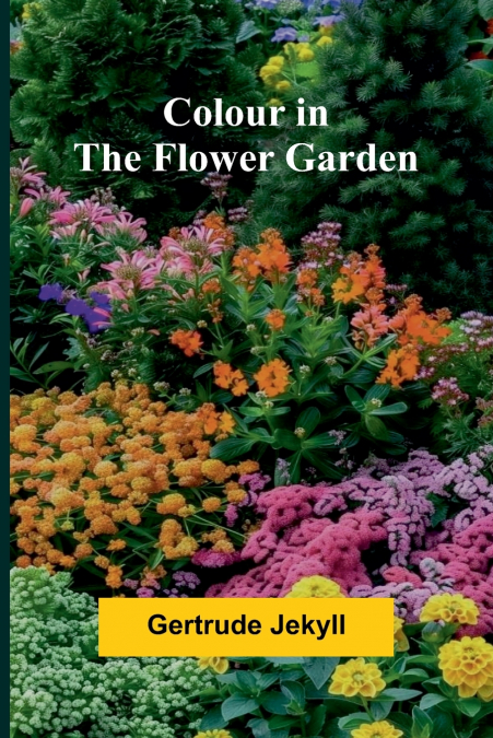 Colour In The Flower Garden