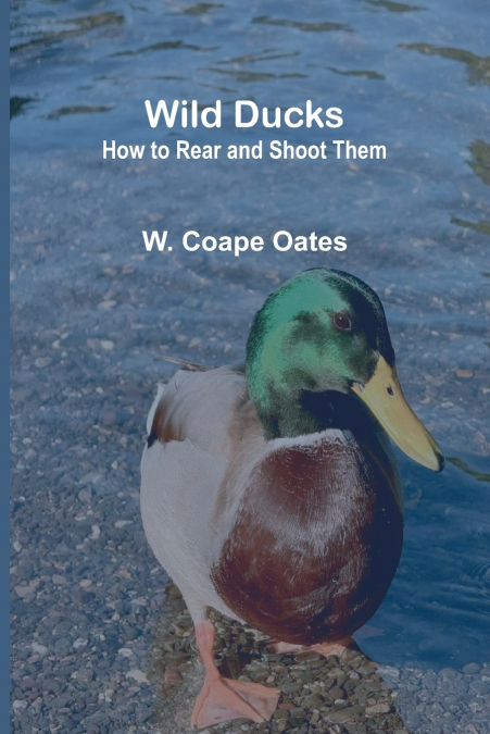 Wild Ducks