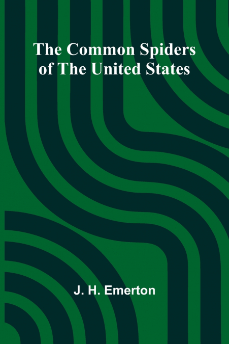 The Common Spiders Of The United States
