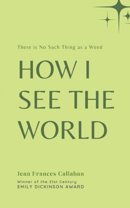 How I see the World