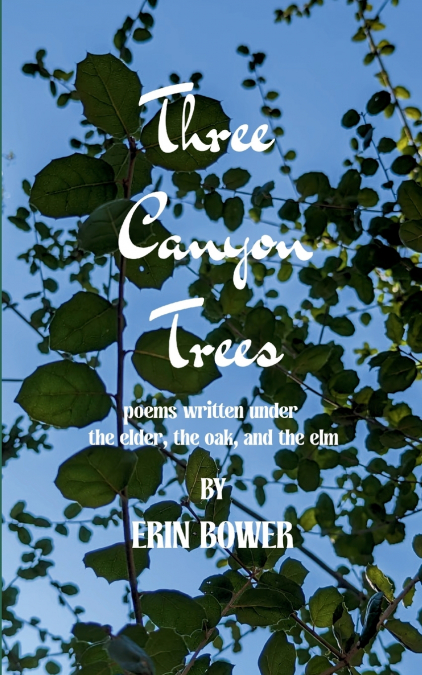 three canyon trees