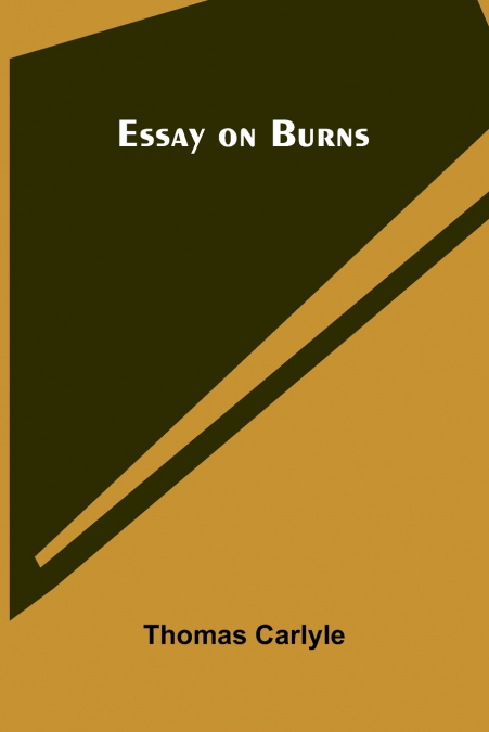 Essay On Burns