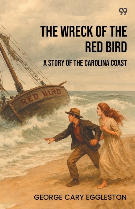 The Wreck Of The Red Bird A Story Of The Carolina Coast