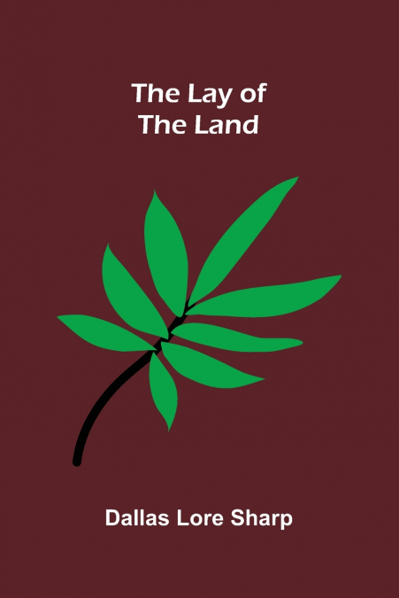 The Lay of the Land