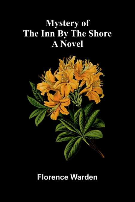 Mystery of the inn by the shore