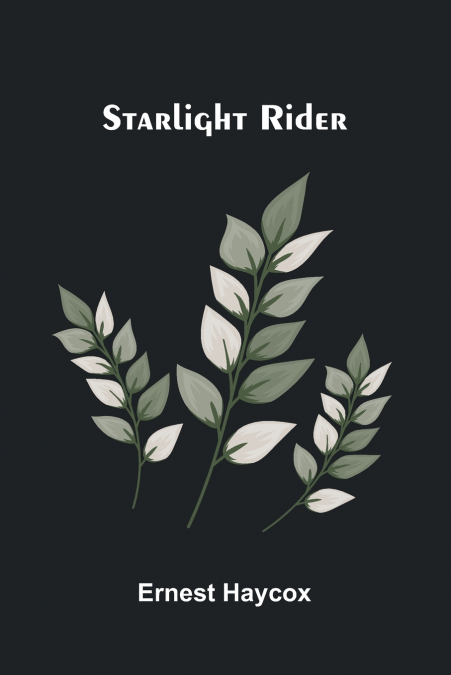 Starlight Rider