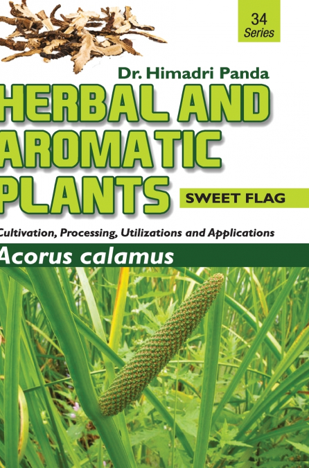 HERBAL AND AROMATIC PLANTS - 34. Acorus calamus (Sweet Flag)