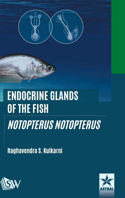 Endocrine Glands of the Fish